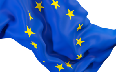 Adapting to changes in Logistics sector post Brexit