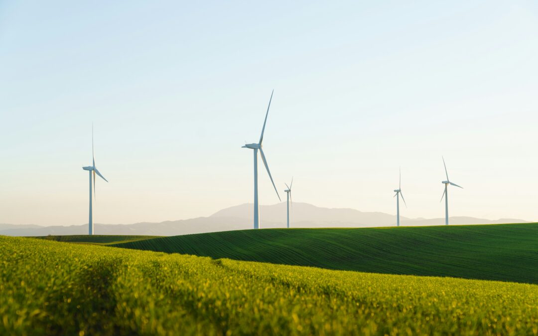 Navigating the Green Route: Advancing Sustainability in the Logistics Sector