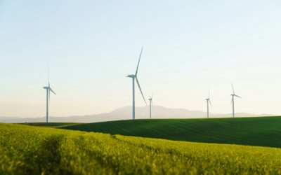 Navigating the Green Route: Advancing Sustainability in the Logistics Sector